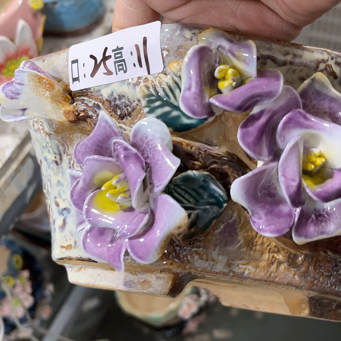 【闪购商品】红陶福利