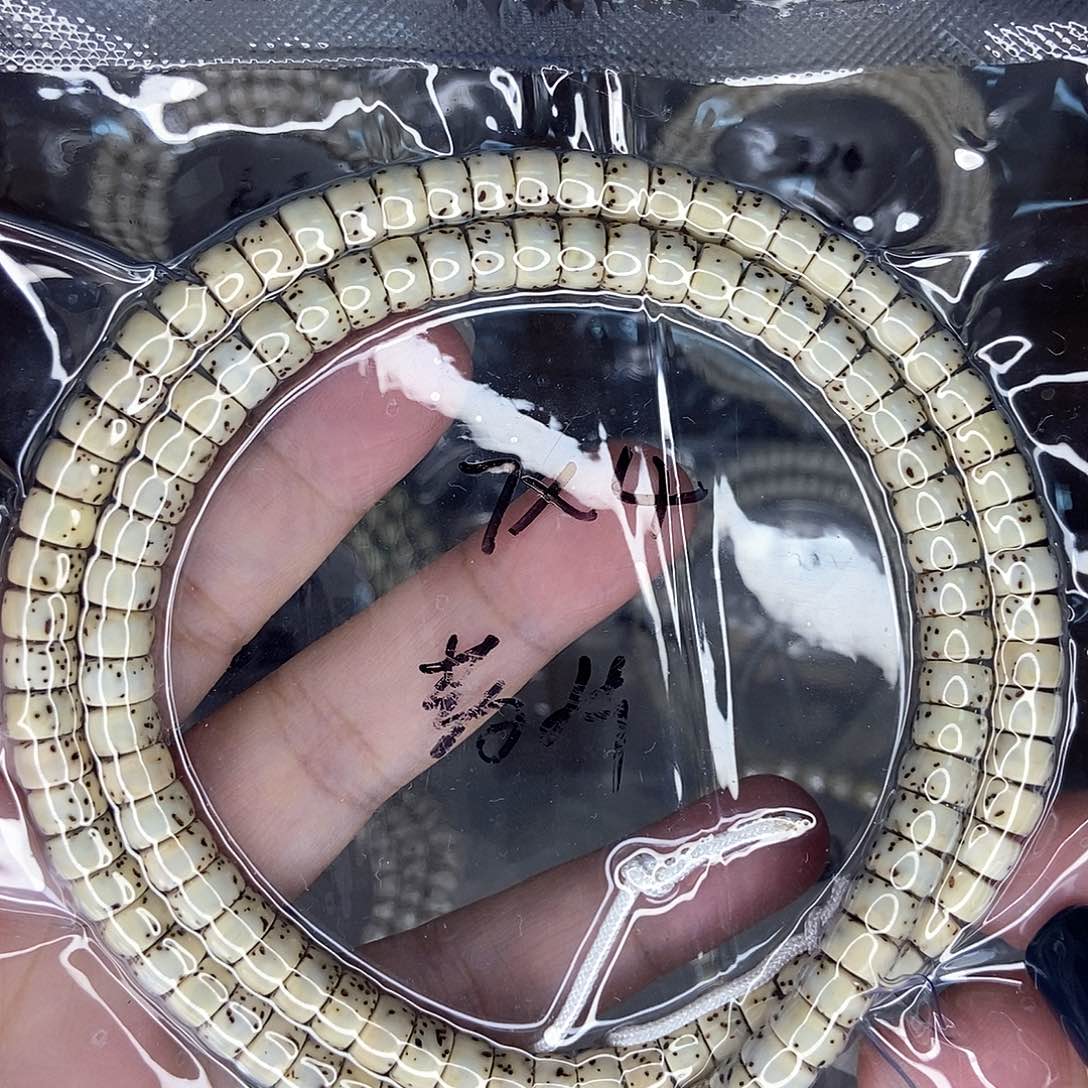 星月菩提手串星月