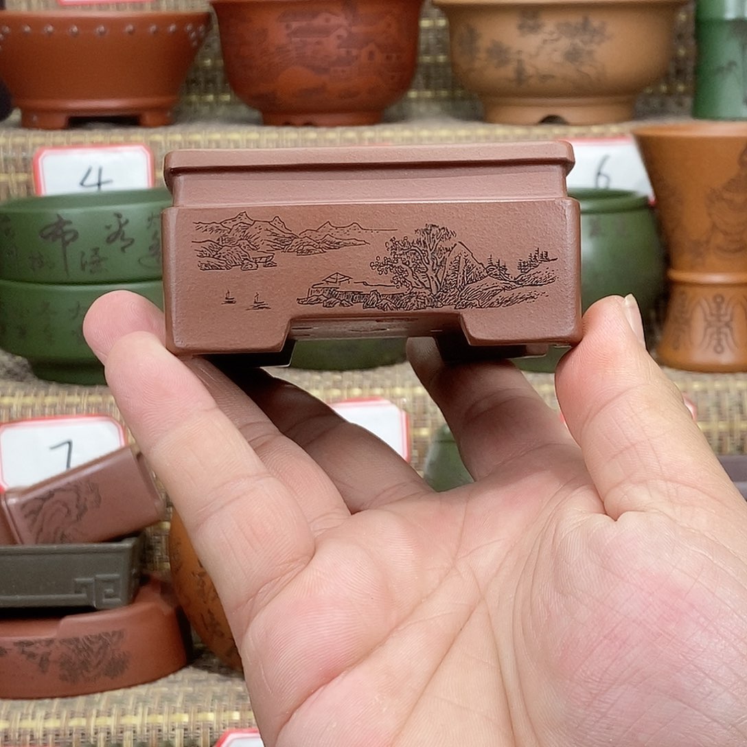 紫砂花盆我在等他