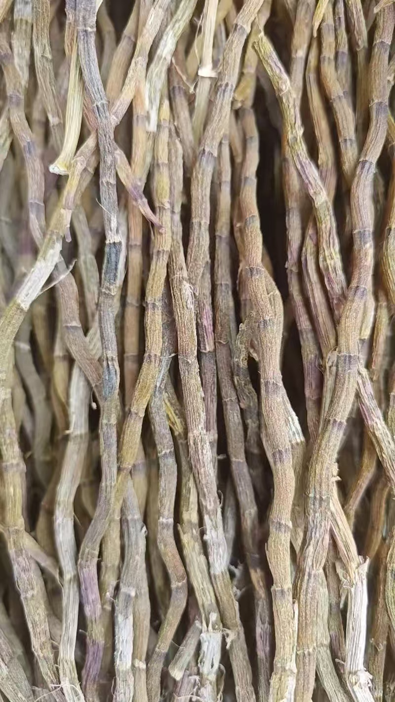 云南高山铁皮石斛干条多胶无渣可煲汤食用