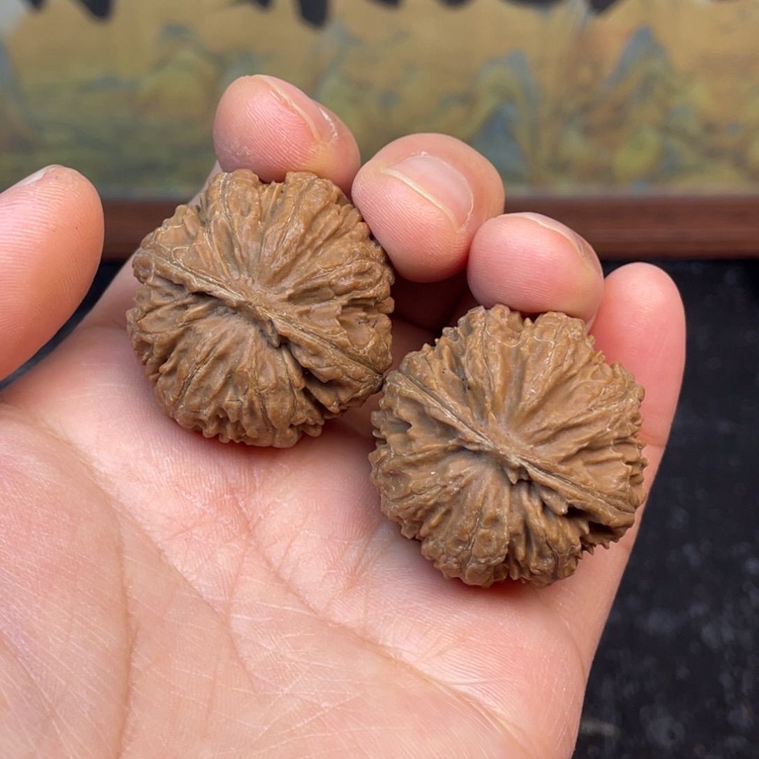 核桃2号链接222222