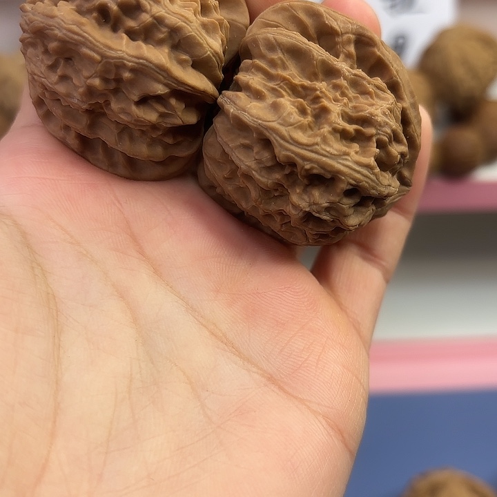 白师子 42尺 全品无修