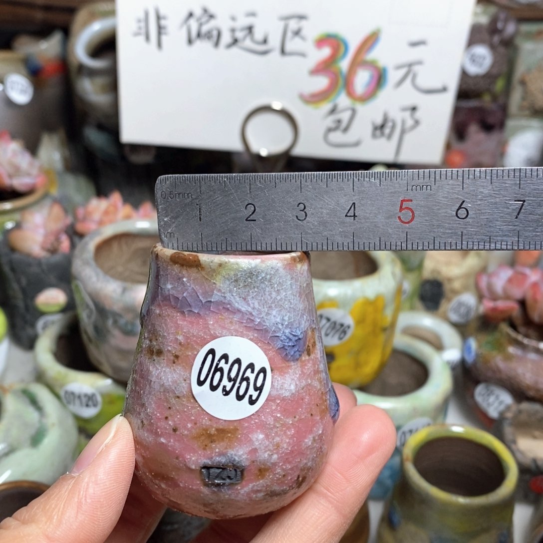 花盆拍5送一个小礼物