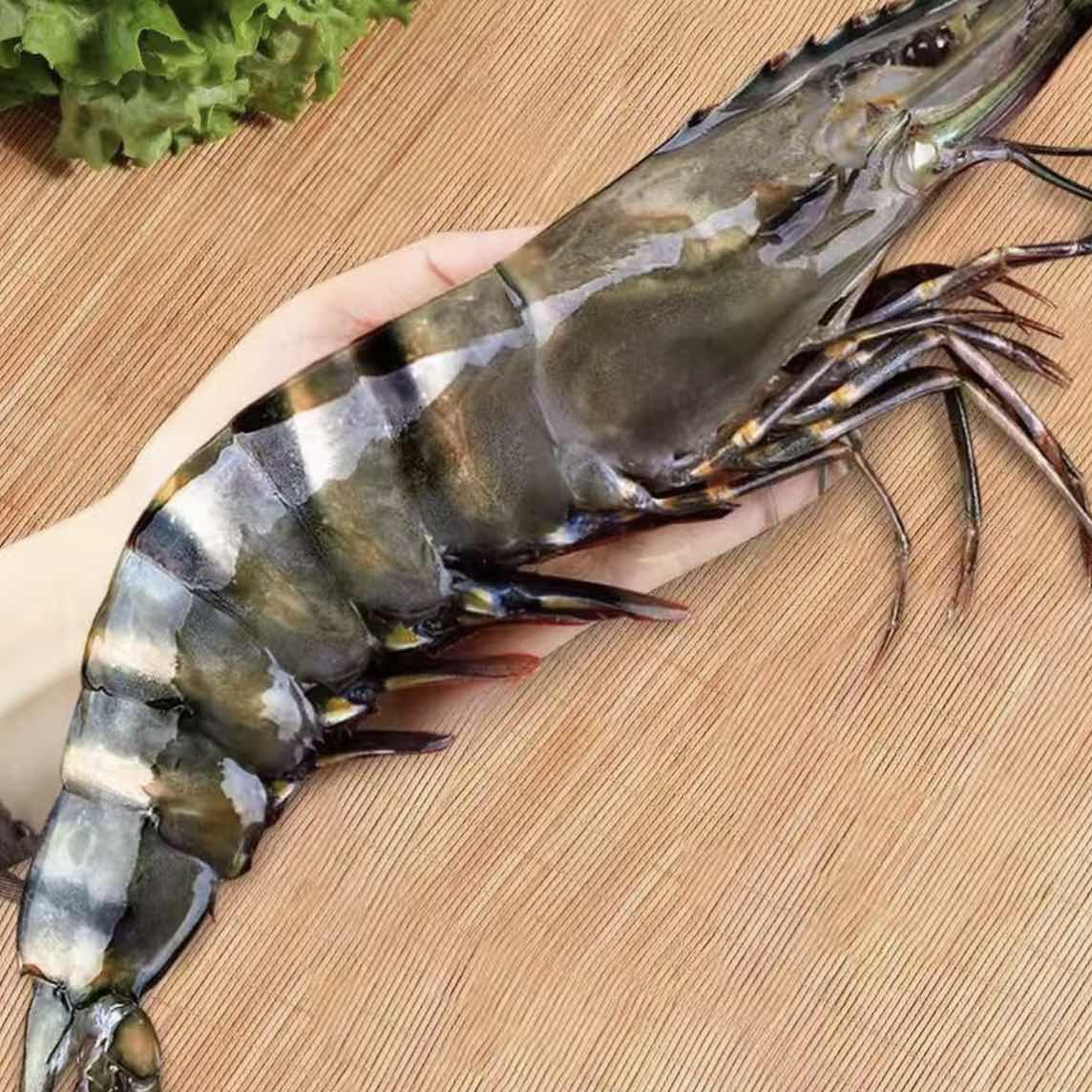 海捕野生大鬼虾 顺丰冷链厦门发货