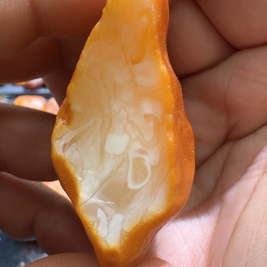 定制琥珀未镶嵌一**茄专拍