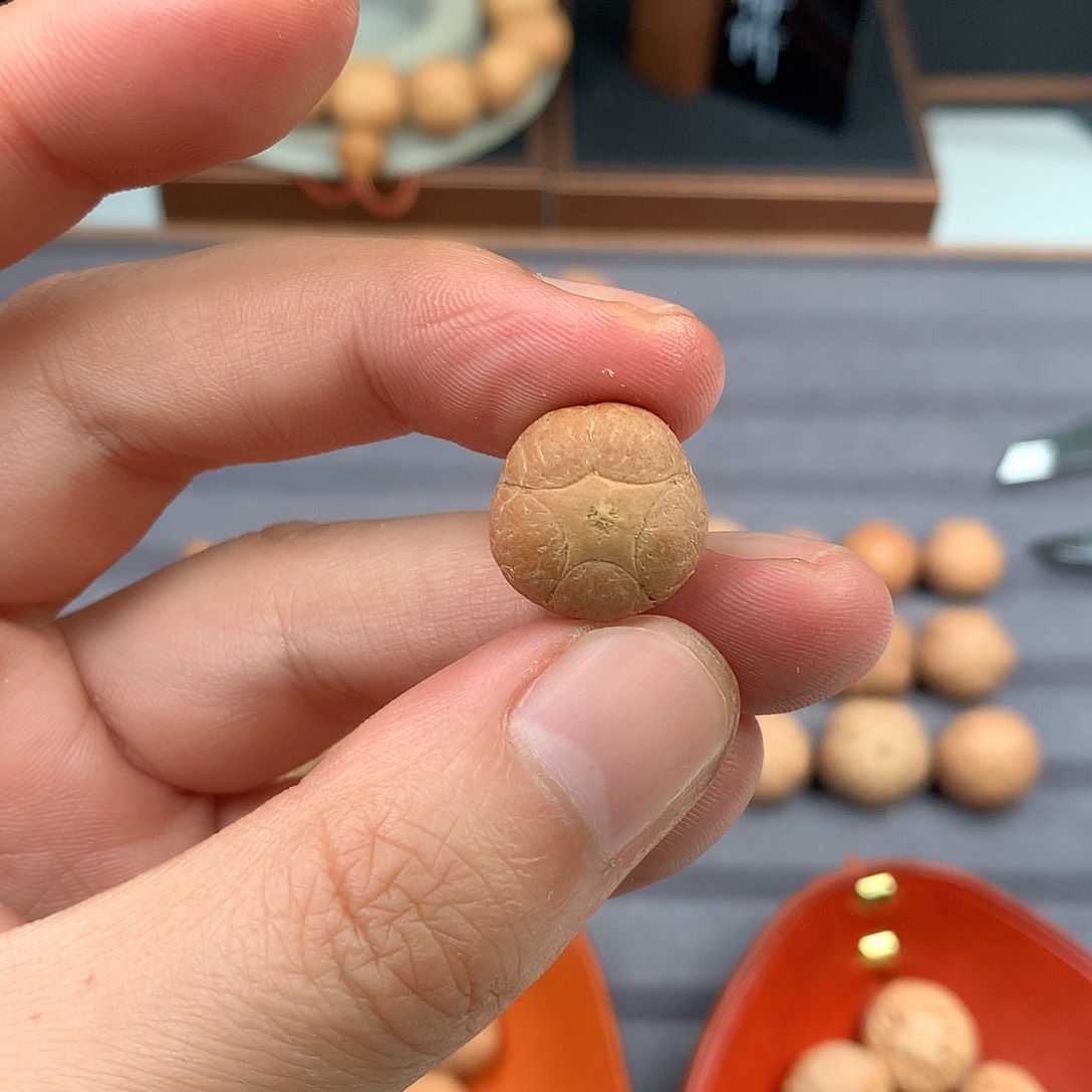 手串凤眼菩提16+五星，非质量问题开孔不退