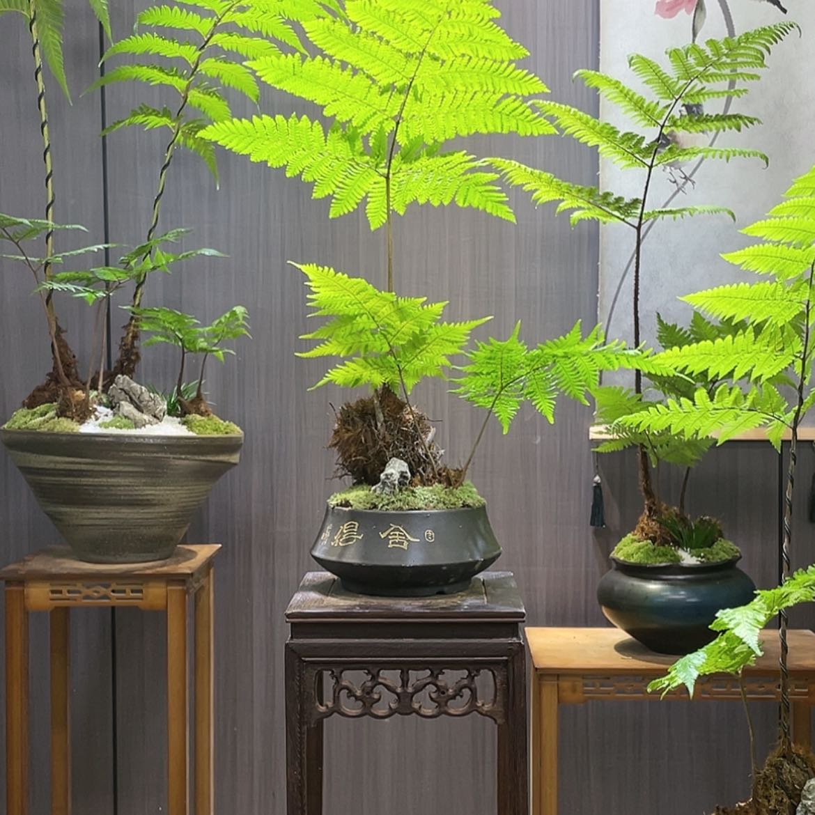 【闪购商品】用****7蕨