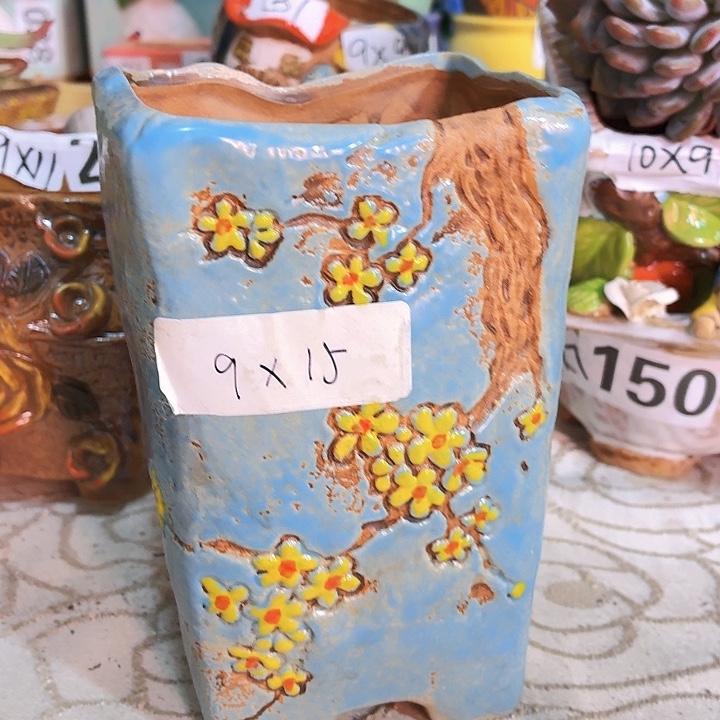 多肉花盆满15包邮