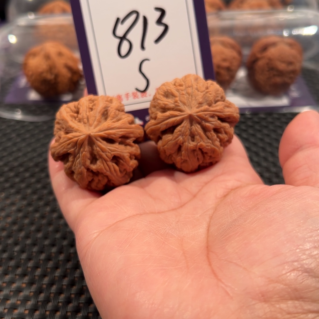 在***张把件文玩核桃813号粗筋37