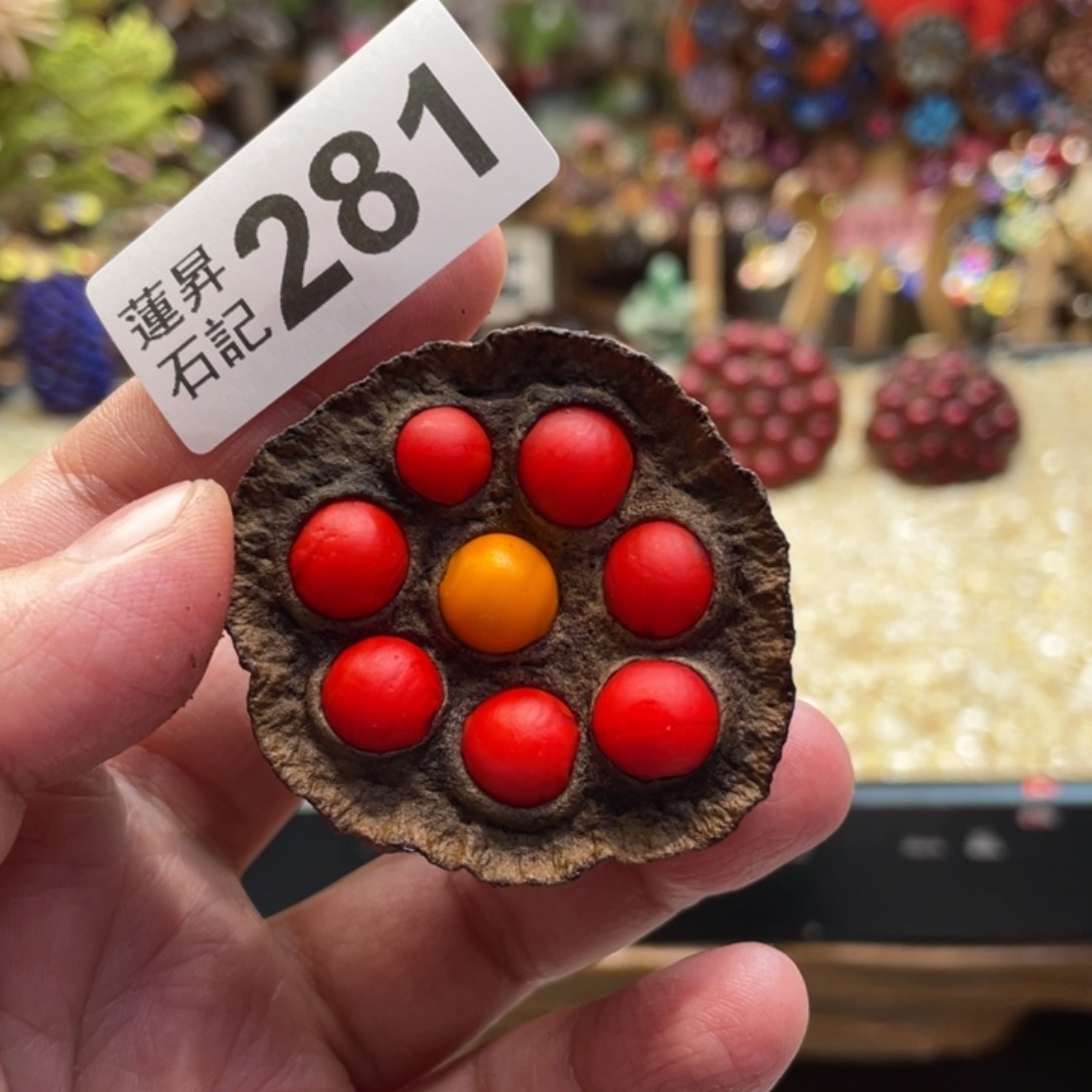 核桃木/黑胡桃（胡桃木）281