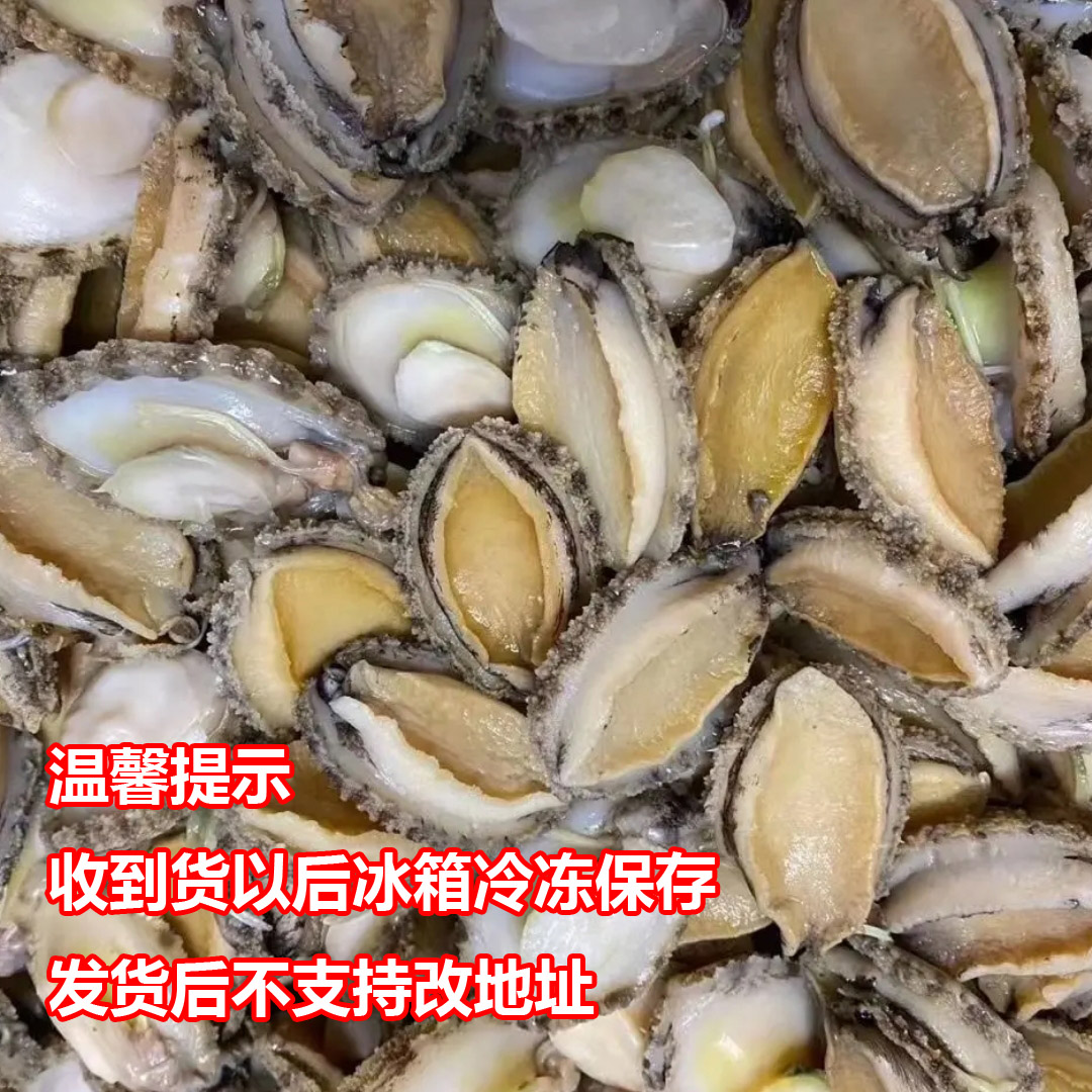 【顺丰快递】福建东山岛 鲍鱼肉（收到货冰箱冷冻保存）