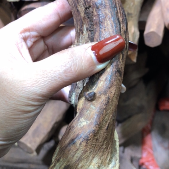 【闪购商品】黄花梨/降香黄檀手串/手链渤****张