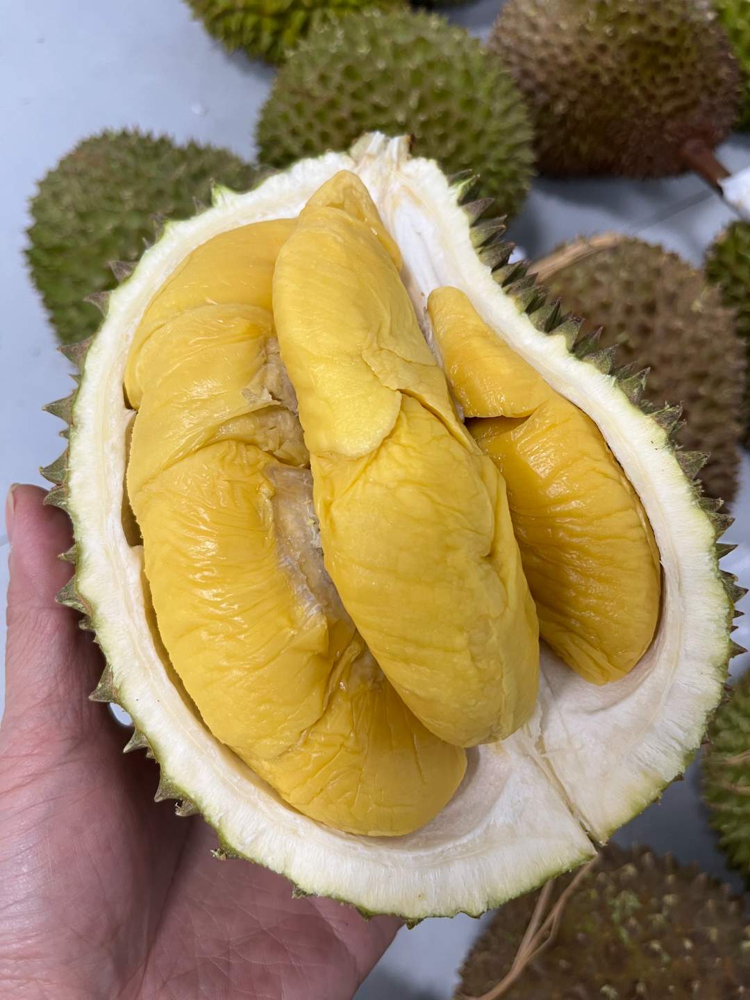 【正宗马来西亚猫山王】B级鲜果榴莲收到即可吃不需催熟微苦回甘