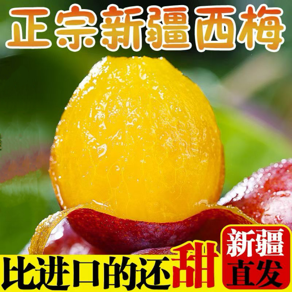 新鲜水果新疆法兰西小西梅产地直发