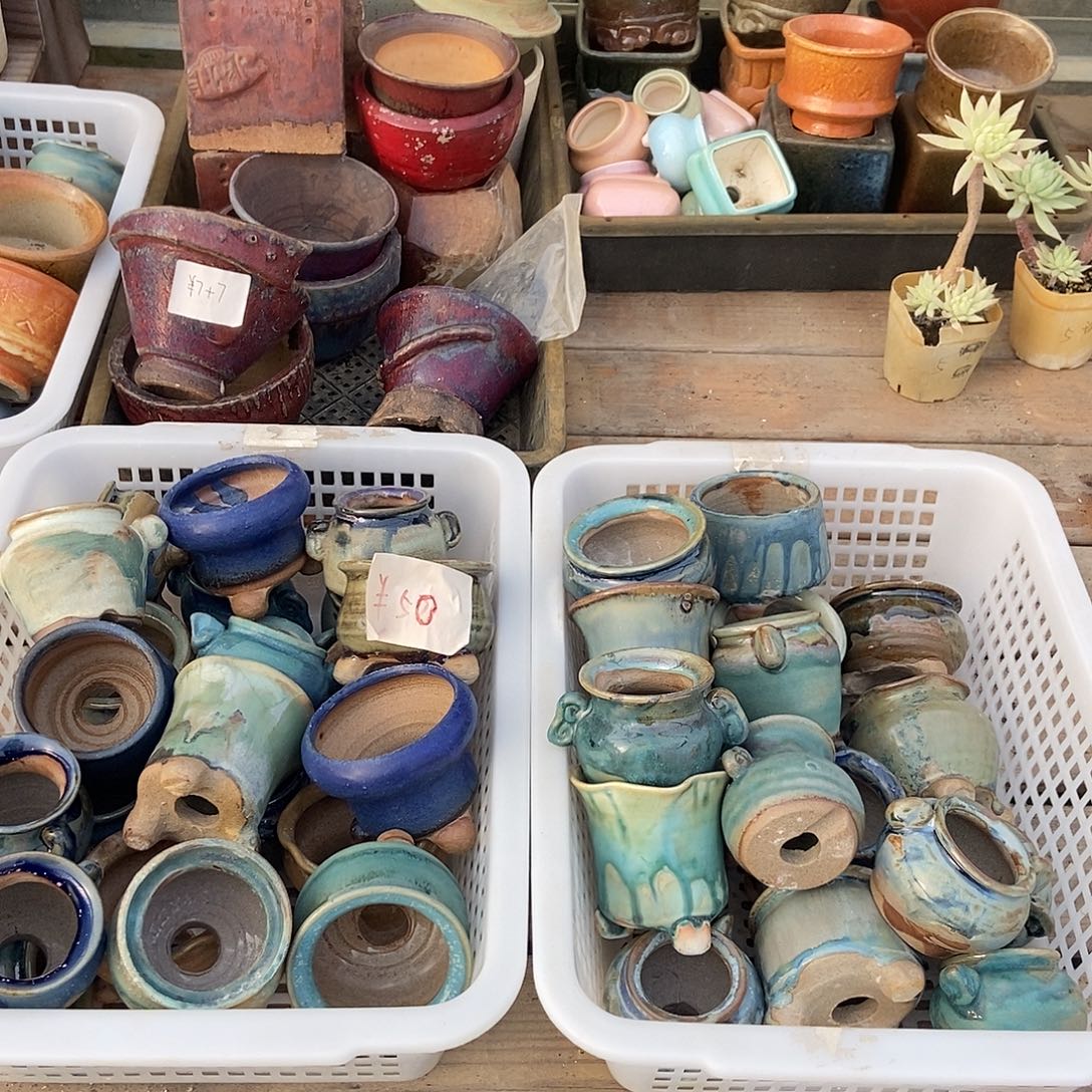 花盆组合套餐指定区域自选十个口径4-6厘米微瑕