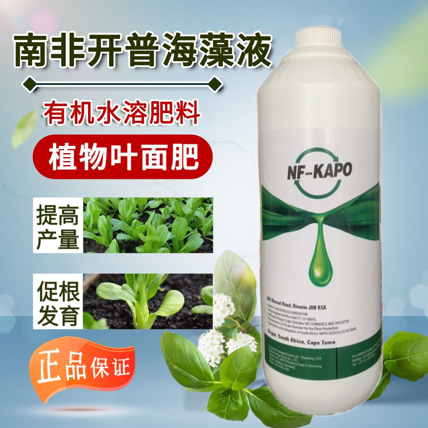正品南非浓缩海藻原液有机水溶肥生长抗病增产膨大生根果树蔬菜