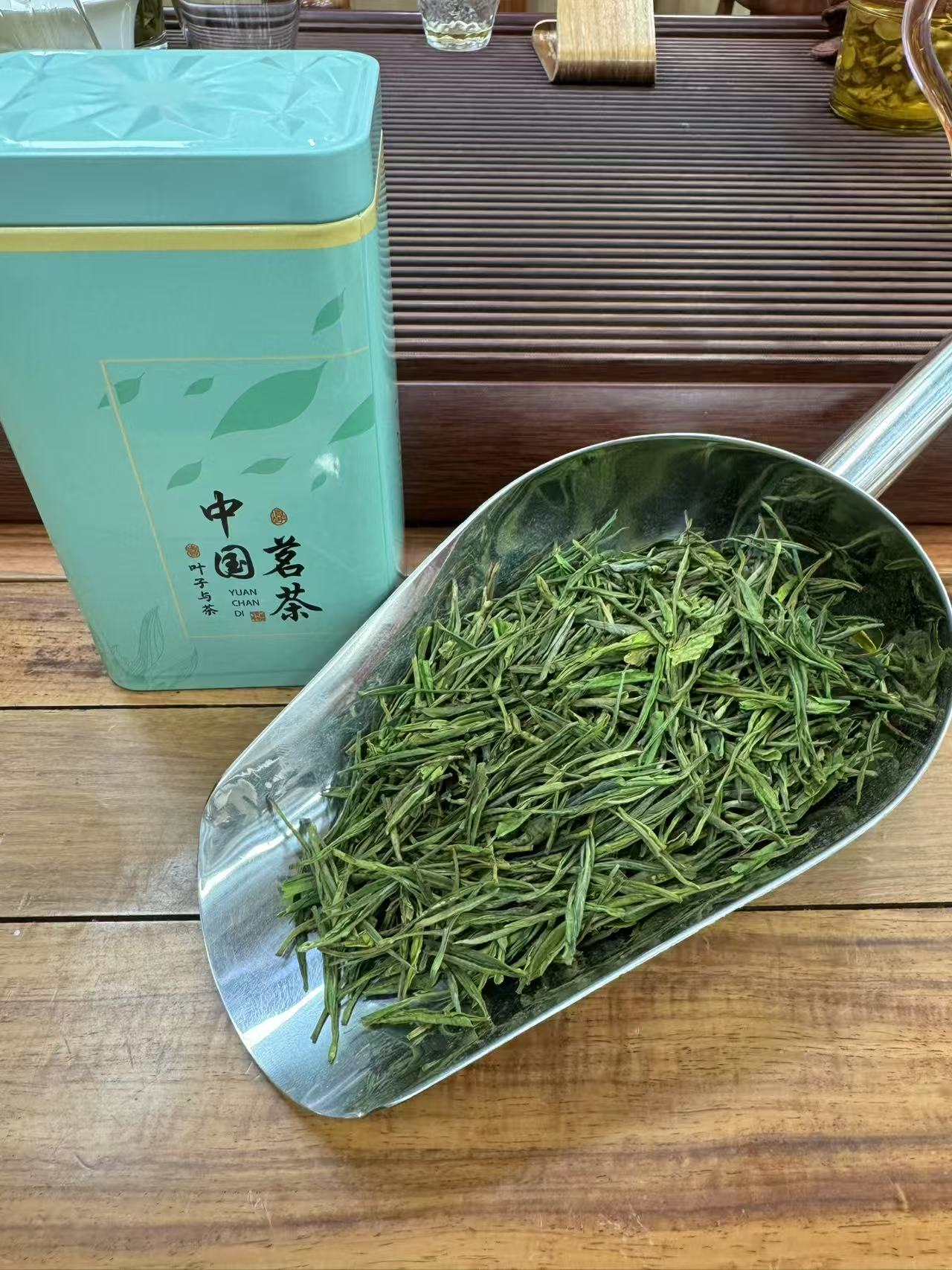 【鲜灵绿茶】浙江白茶 鲜若鸡汤 甜如甘露 清雅高扬 核心产区