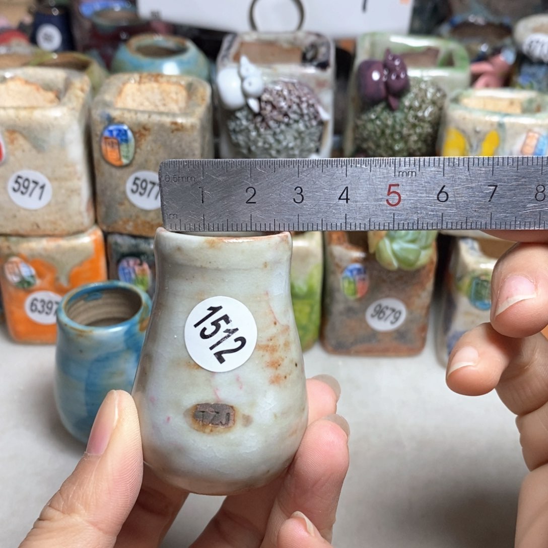 拍5送一个小礼物