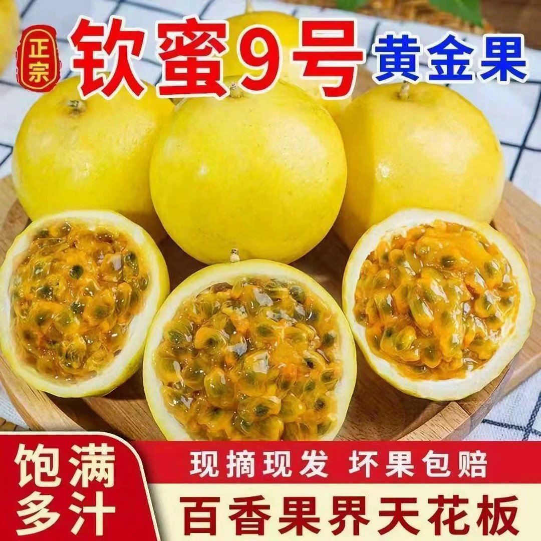 钦蜜9号百香果新鲜小/中/大果包邮当季百香果