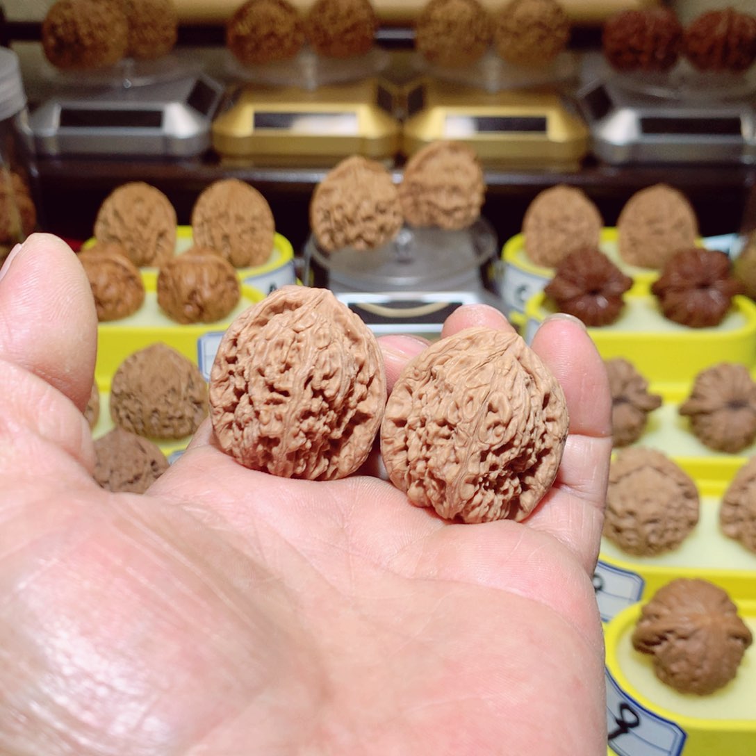 开播福利蚂蚁拉丝纹丑疆