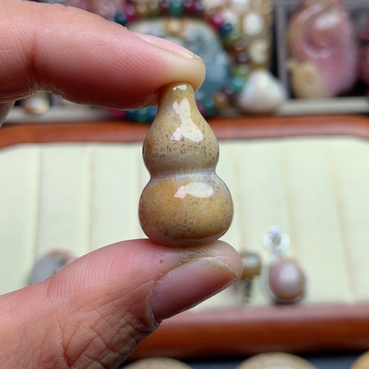 硅化珊瑚（珊瑚玉）颈饰未镶嵌