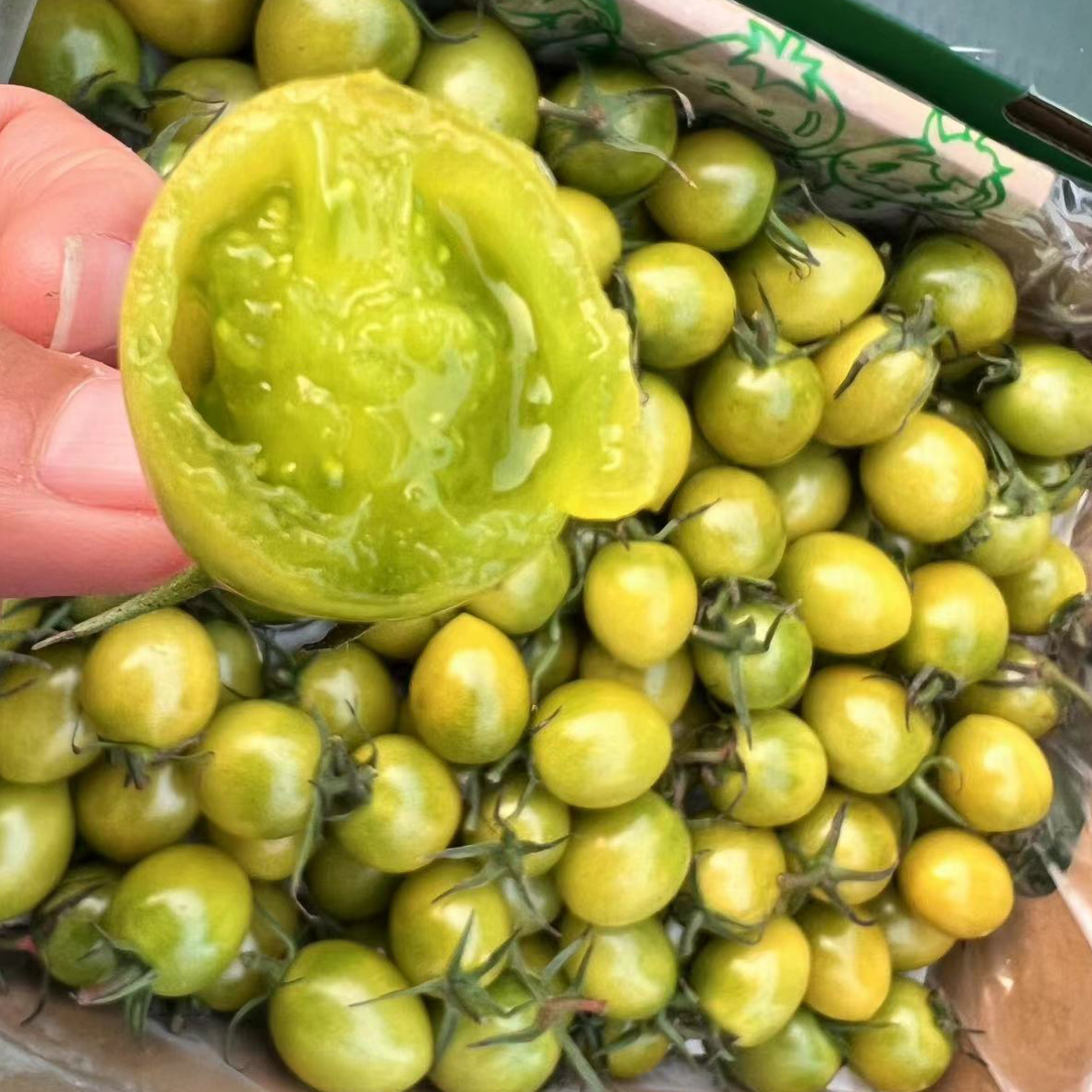‌番状元青甜小番茄爆浆美味‌ 小绿番茄咬下去有爆浆的快感2 斤釜山88小番茄