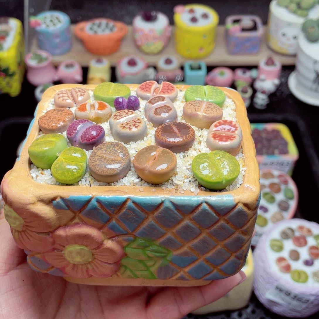 w9374 带盆土发货-零下地区拍保温箱