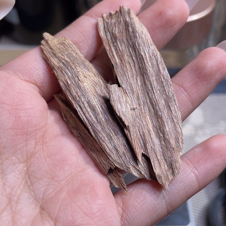 沉香海南吊罗山虫漏3克重福利