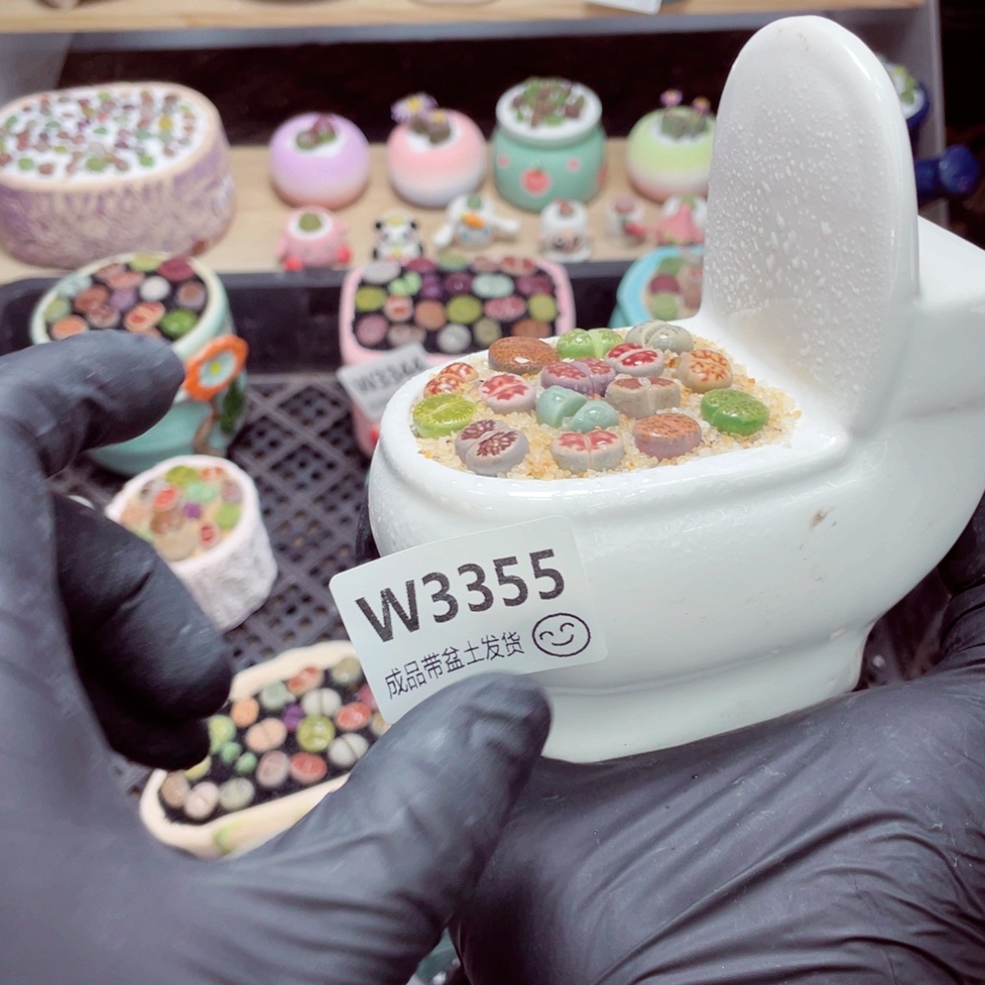 夜间零下地区拍保温箱w3355