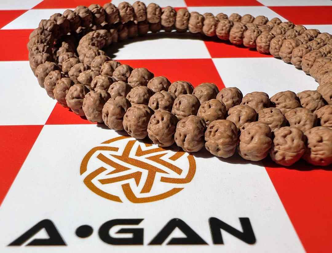 【阿肝原生态高端定制矮桩凝霜佛手】原生五爪佛手凝霜皮质108矮桩