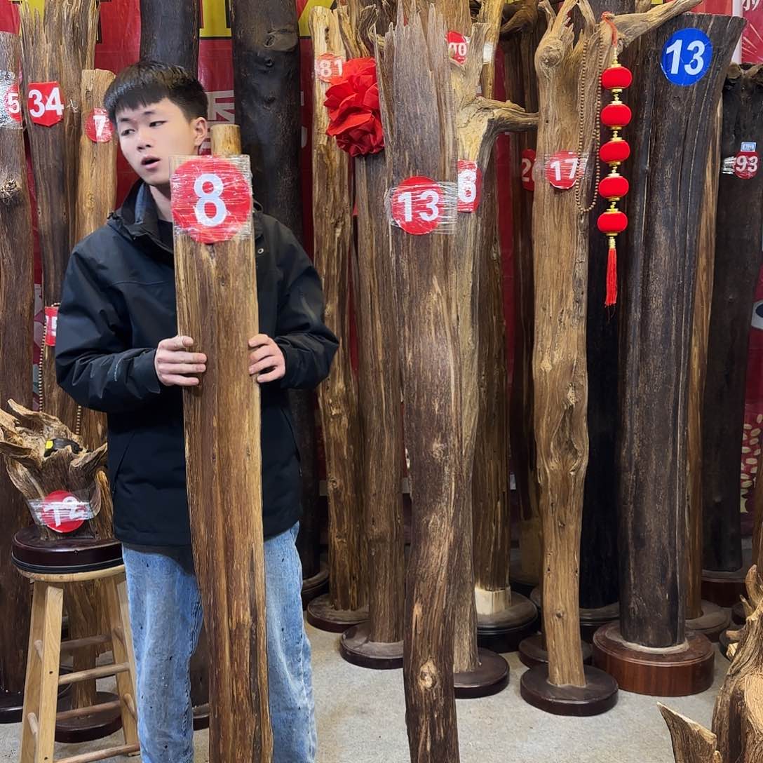 沉香摆件萌*多海南沉香