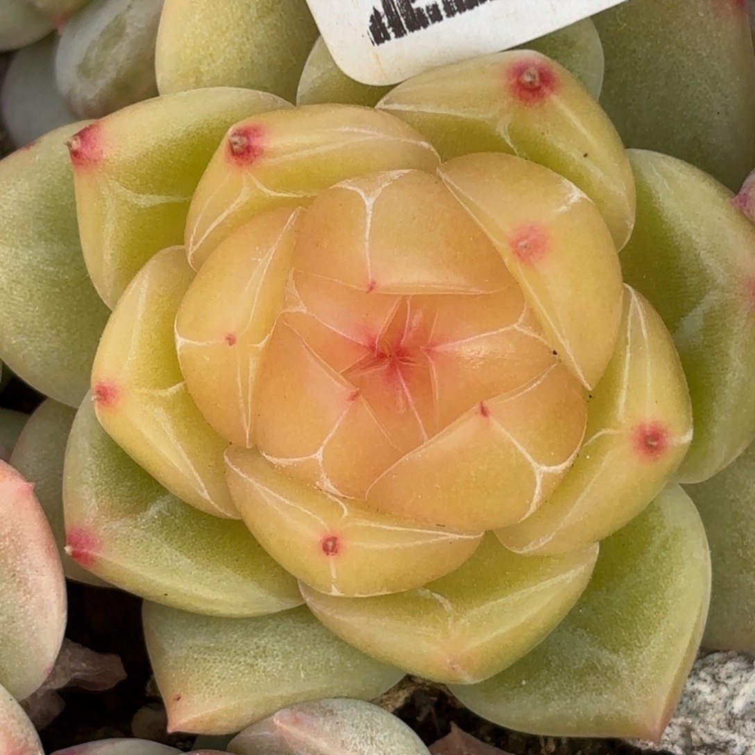 280了我也要开始学习啦我要