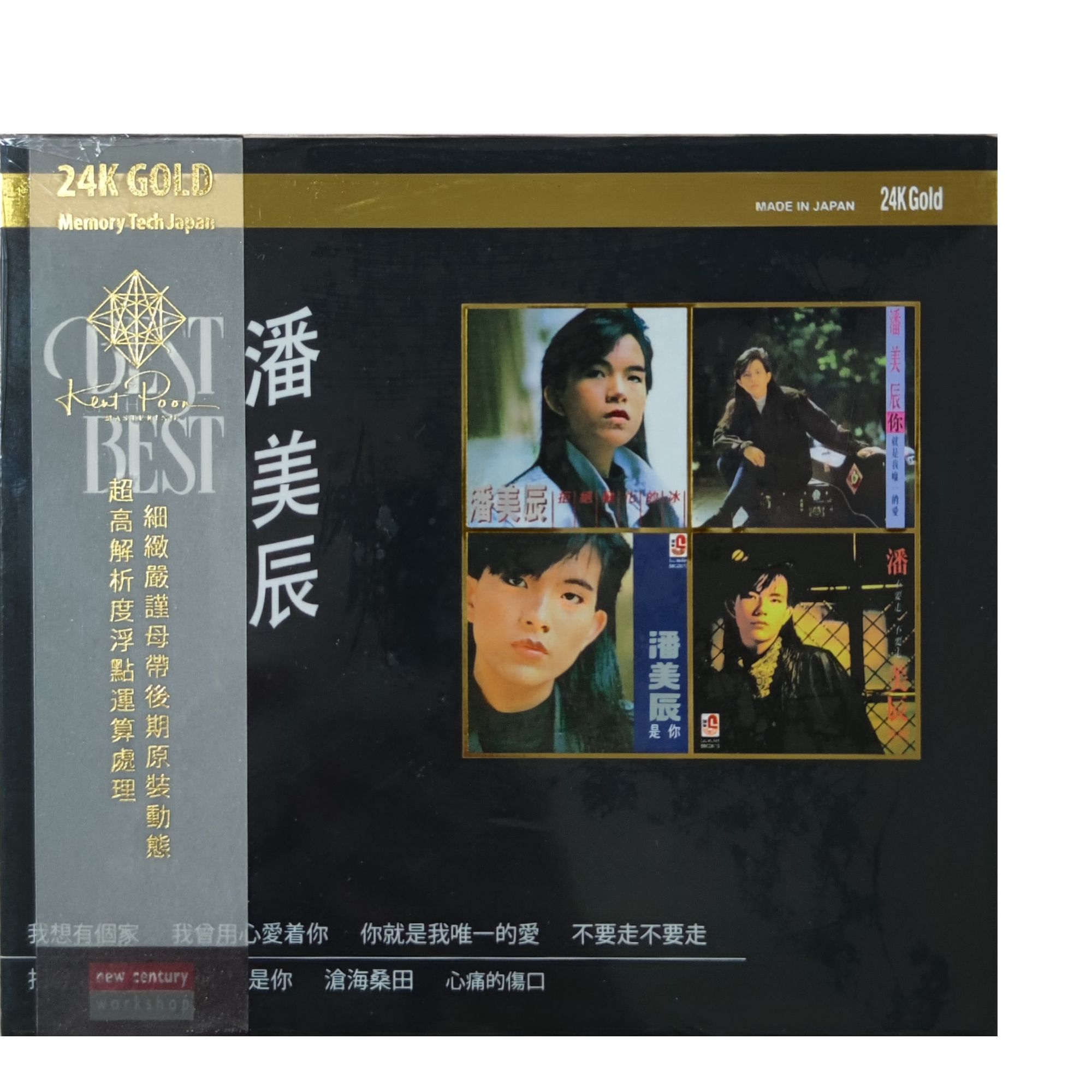 潘美辰 是你 24K金碟