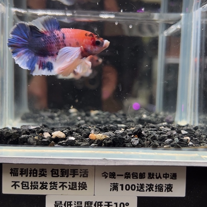 斗鱼跑单拉黑11日33