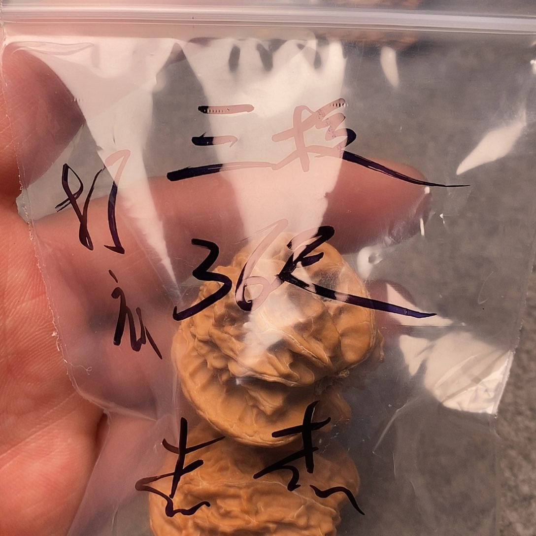 文玩核桃把件杰*三棱