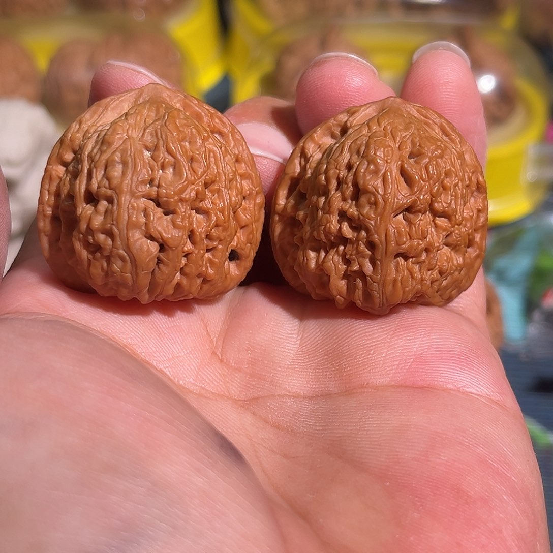 核桃老树红皮红玛瑙34全品