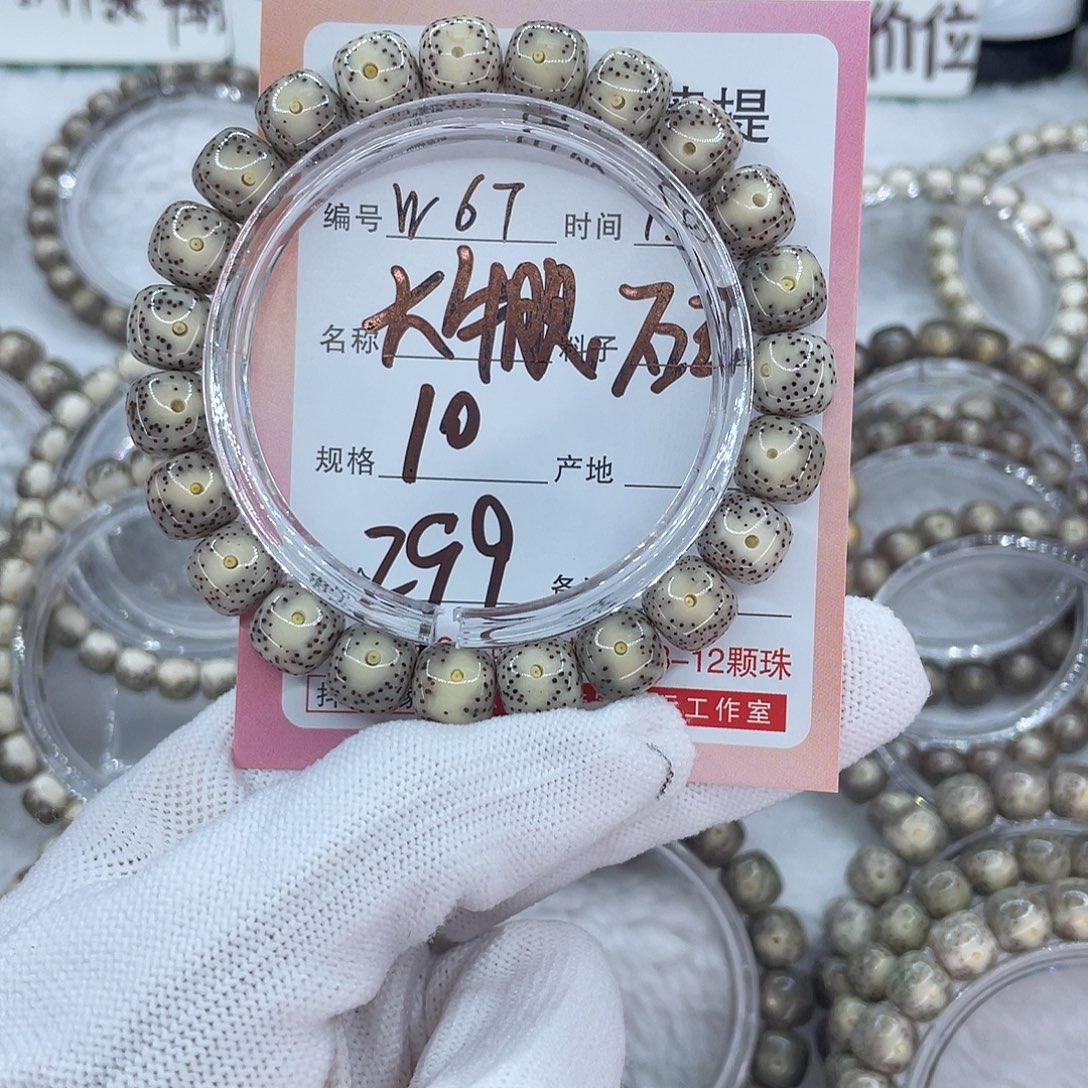 菩提籽类67大牛眼