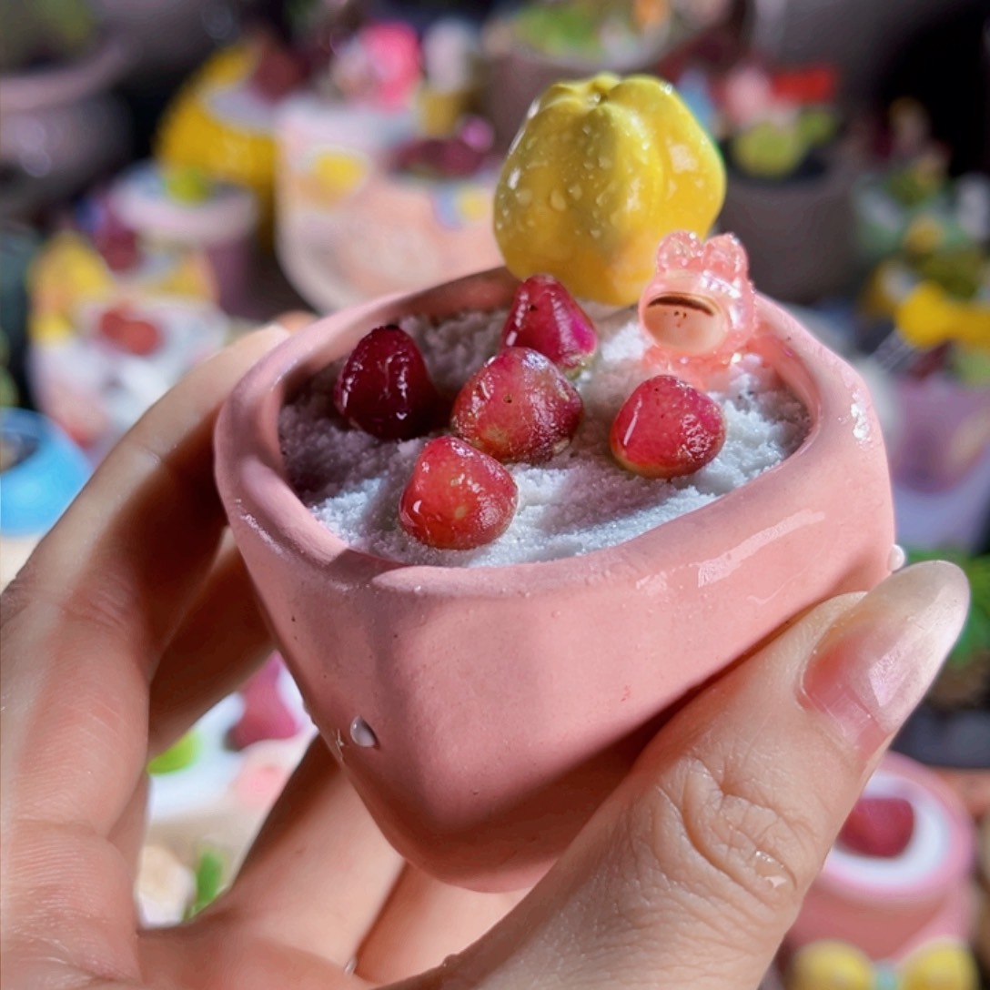 23五颗肉锥灯泡手工盆包邮