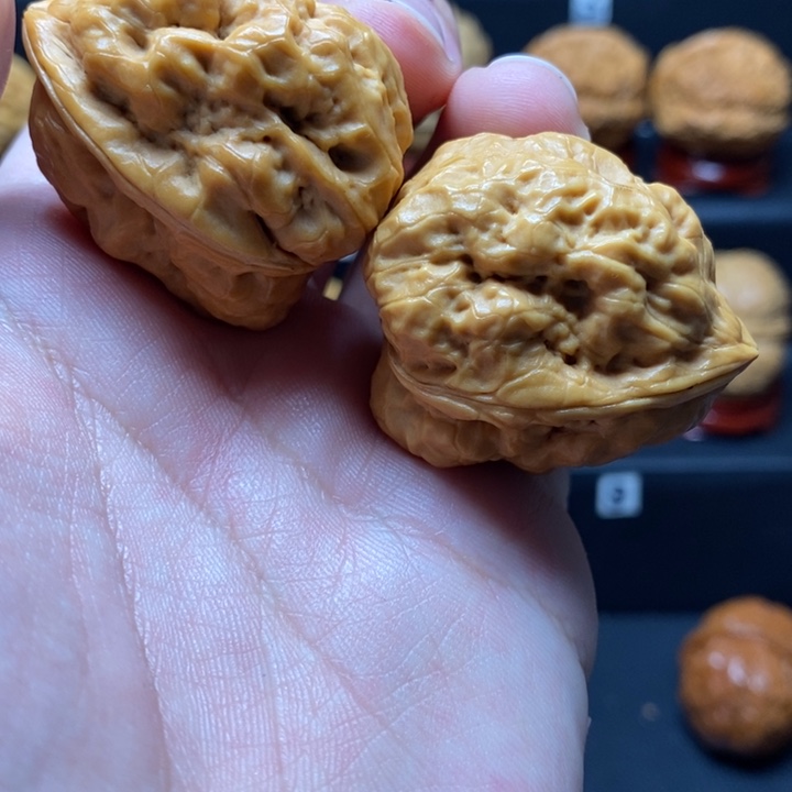 把件文玩核桃37箭毒蛙