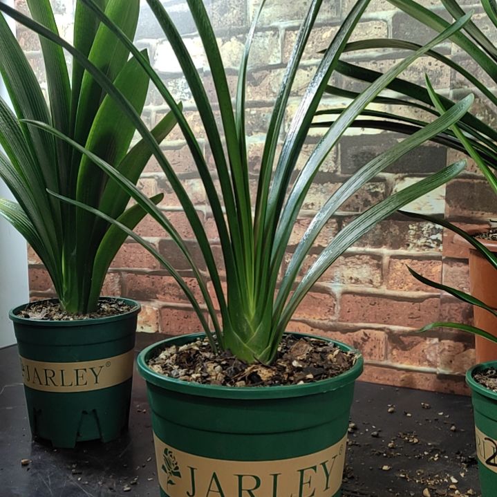 完全开放11111111111