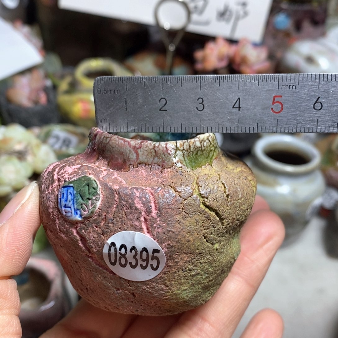 花盆拍3送一个小礼物