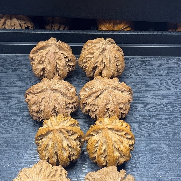 核桃秦岭突突突突突突突