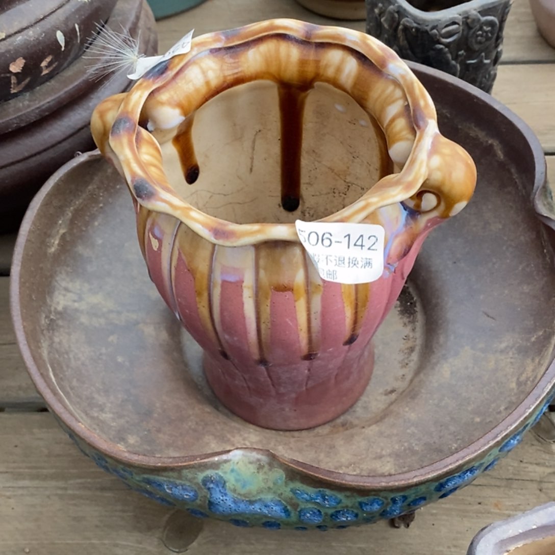 142号多肉盆一个呀