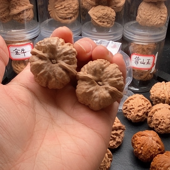 文玩核桃把件玉**儿蛤蟆头