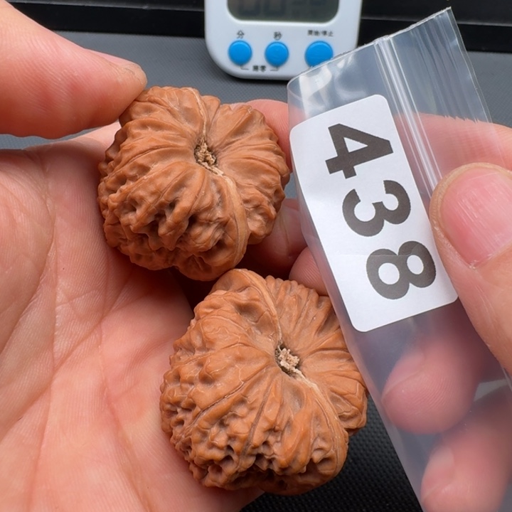 文玩核桃把件小**学凹底40