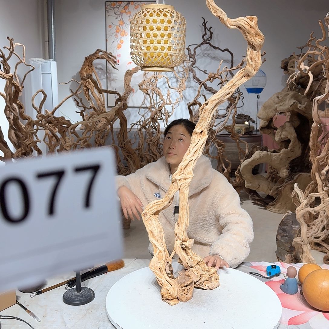 风车木（黑檀木）?****?