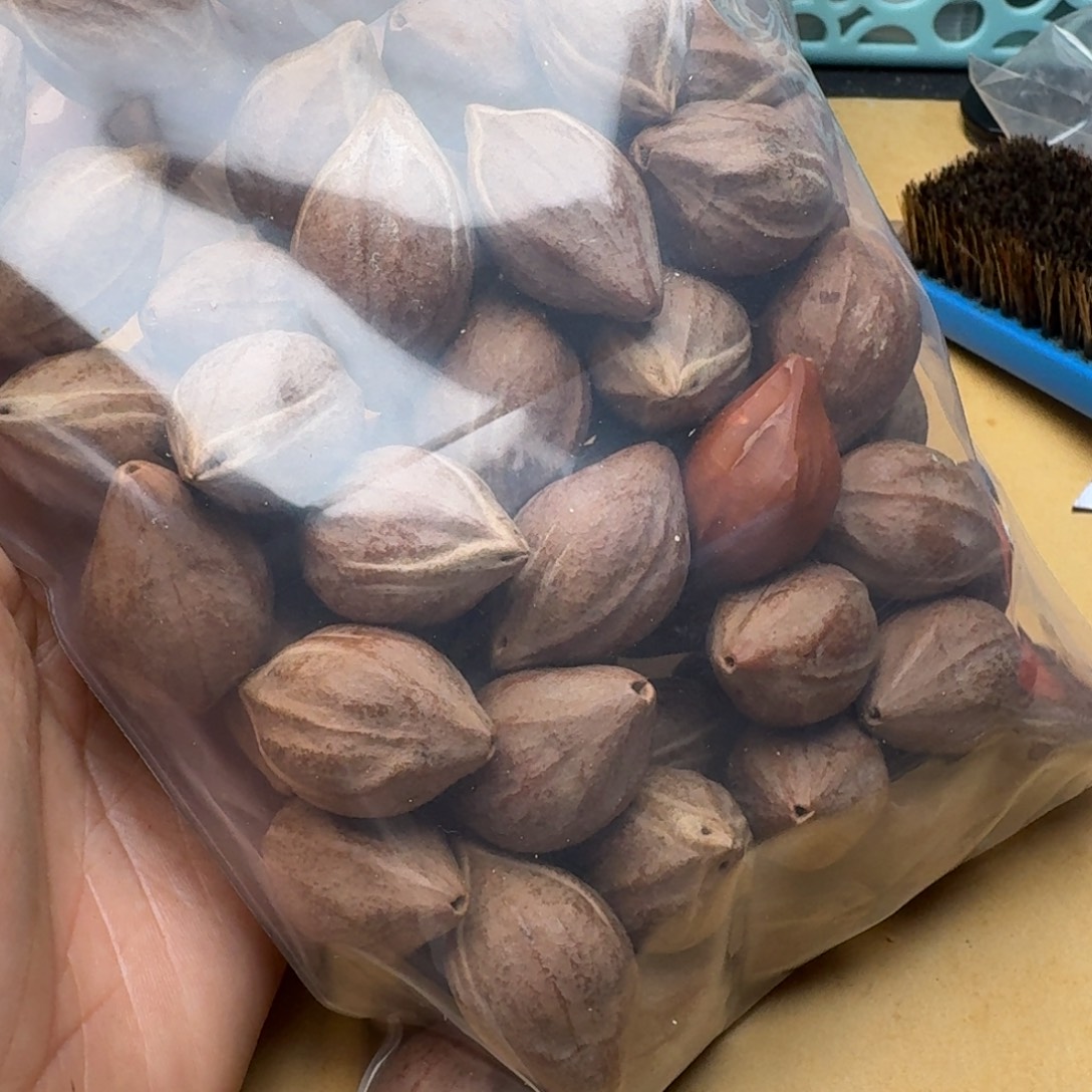 丹***烤橄榄核手串/手链1