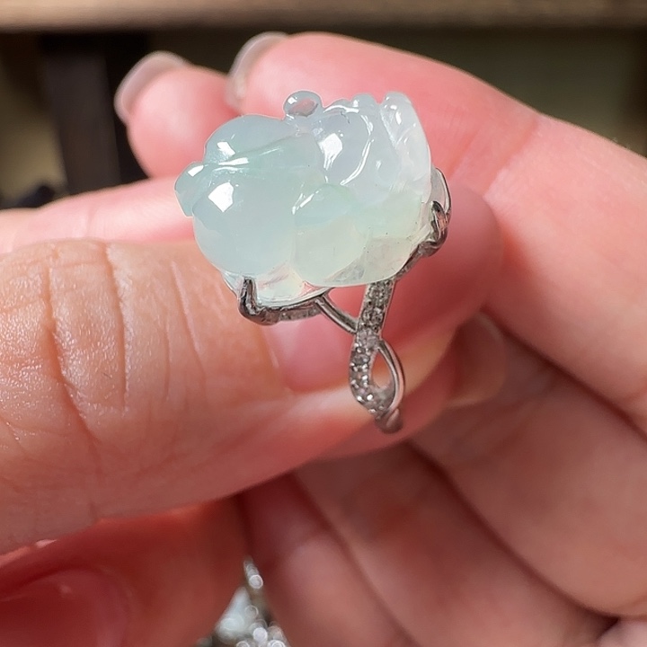 翡翠未镶嵌手镯翡翠199