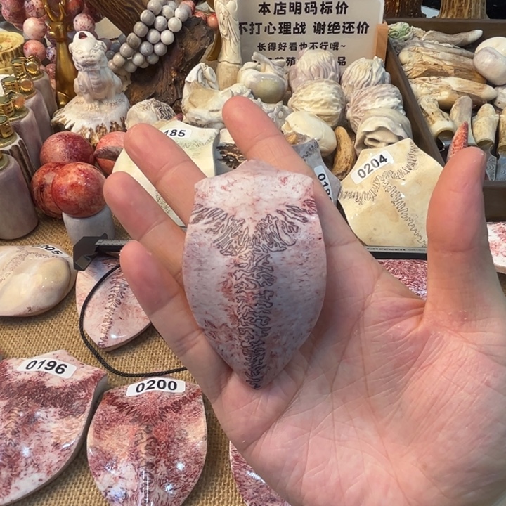 养殖梅花鹿三界牌