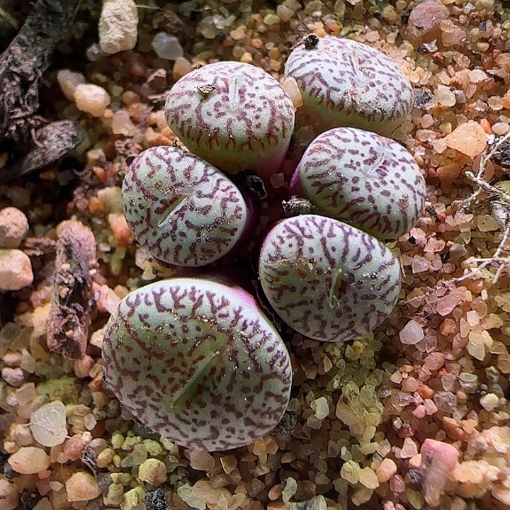 哈哈哈哈哈哈哈。 333